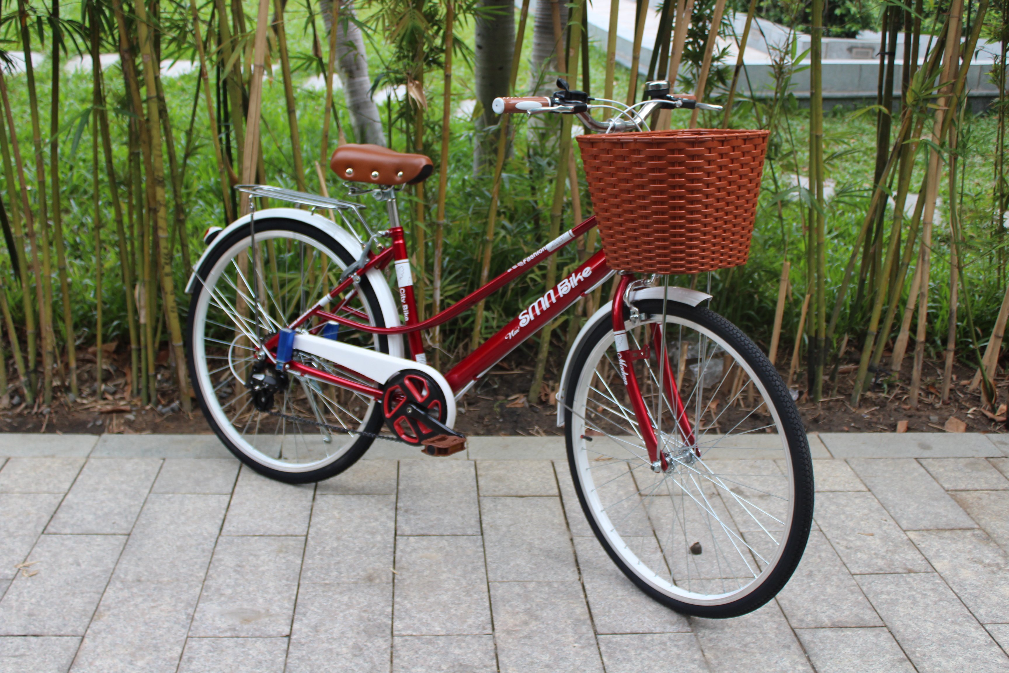 Xe đạp đường phố SMNBike V 26-24 - 26 inch ( cao trên 167cm )