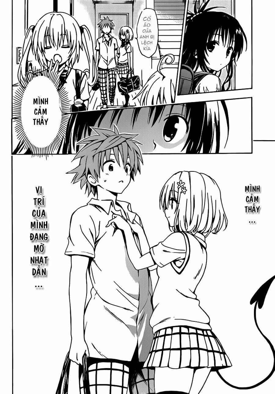 bọn tớ thích cậu! rito 2 - venus chapter 13 19