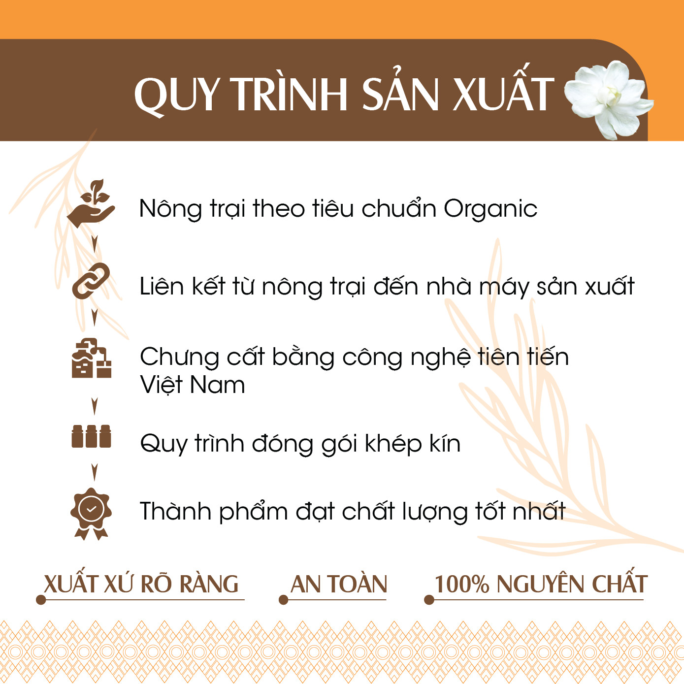 Tinh dầu Cam Hương 24Care 10ML - Chiết xuất thiên nhiên, mùi hương ngọt dịu, giảm căng thẳng, cho giấc ngủ ngon.