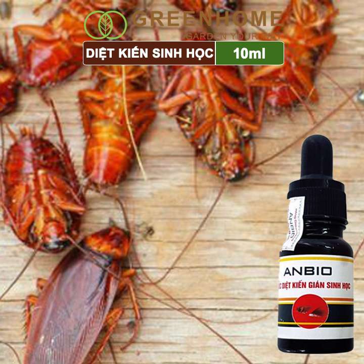 Thuốc diệt kiến gián sinh học Anbio, chai 10ml, an toàn, hiệu quả, tiết kiệm |Greenhome