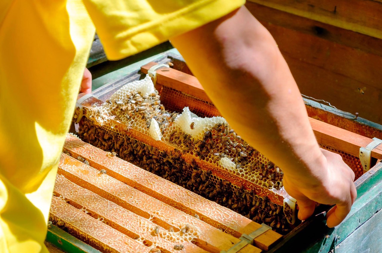 Mật ong hoa nhãn Duy Anh Bee 1400g