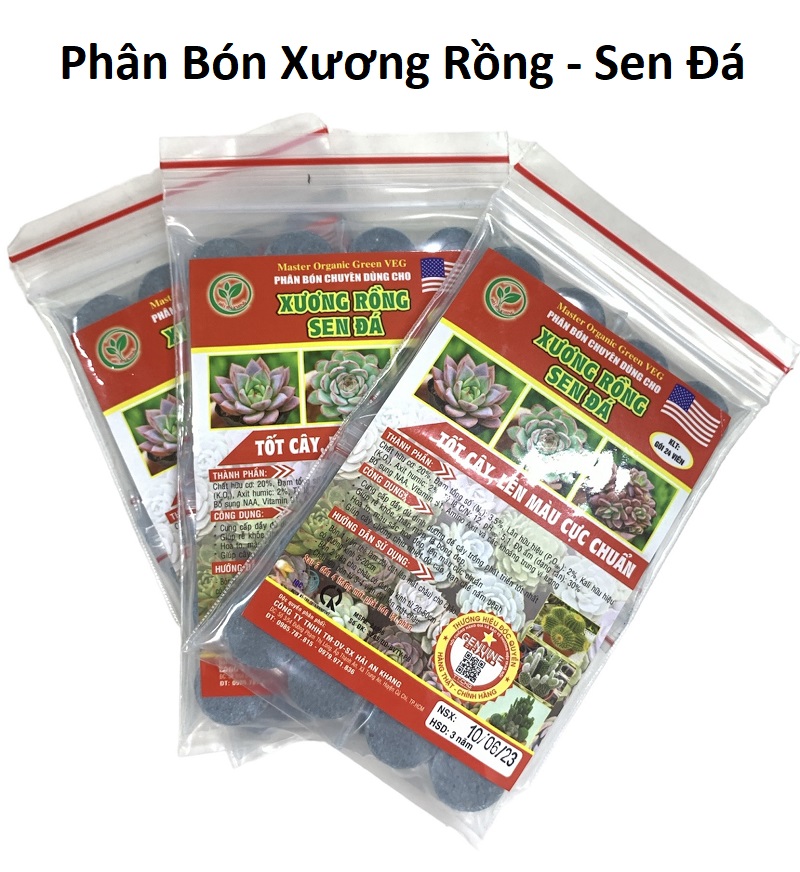 Phân Bón Sen Đá, Xương Rồng , Dạng Viên, Cho Cây Mọng Nước, Kích Rễ, Lên Màu Chuẩn Đẹp - Gói 24 Viên