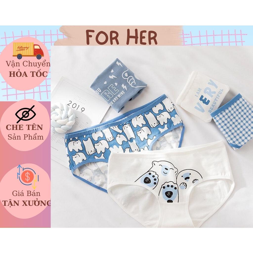 Quần lót cotton nữ dễ thương mẫu gấu bắc cực