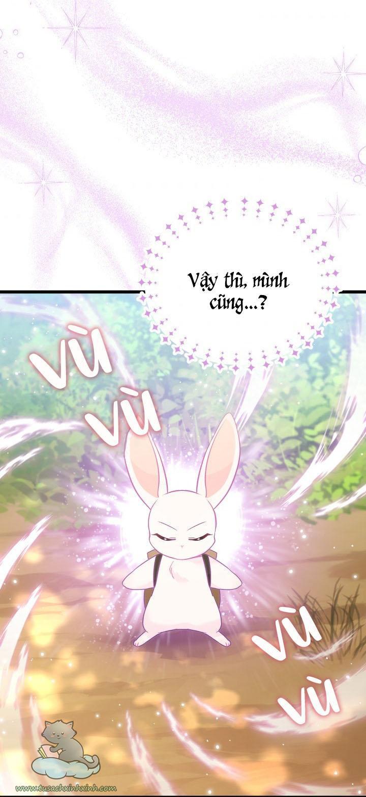 quan hệ cộng sinh giữa báo đen và thỏ trắng chapter 61 52