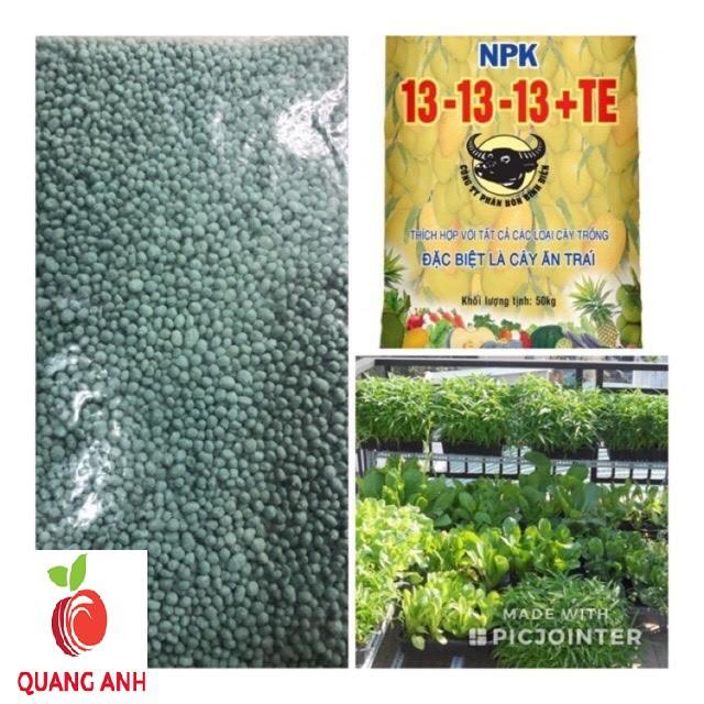 PHÂN NPK ĐẦU TRÂU 13-13-13+TE - GÓI 1KG