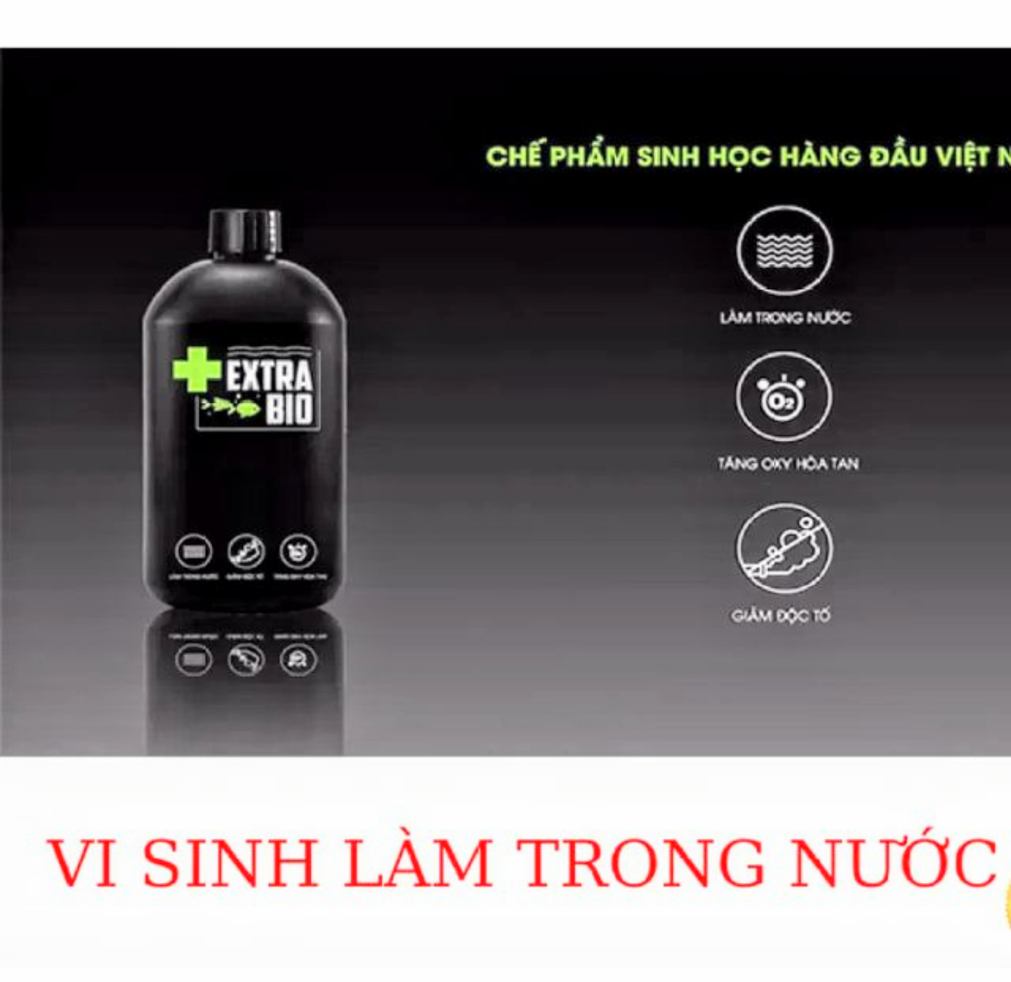 1 CHAI VI SINH XỬ LÝ NƯỚC LÀM TRONG NƯỚC CHO BỂ CÁ KHỬ MÙI HÔI TANH HIỆU QUẢ CAO LOẠI TỐT