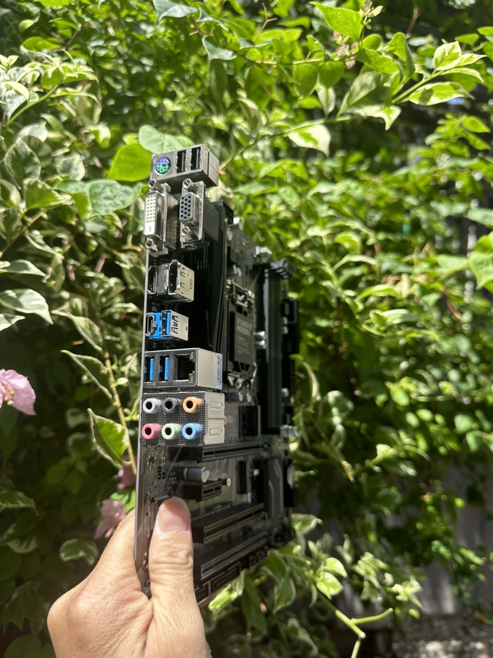 Bo Mạch Chủ (Mainboard) GIGABYTE B365M D3H (HÀNG CHÍNH HÃNG)