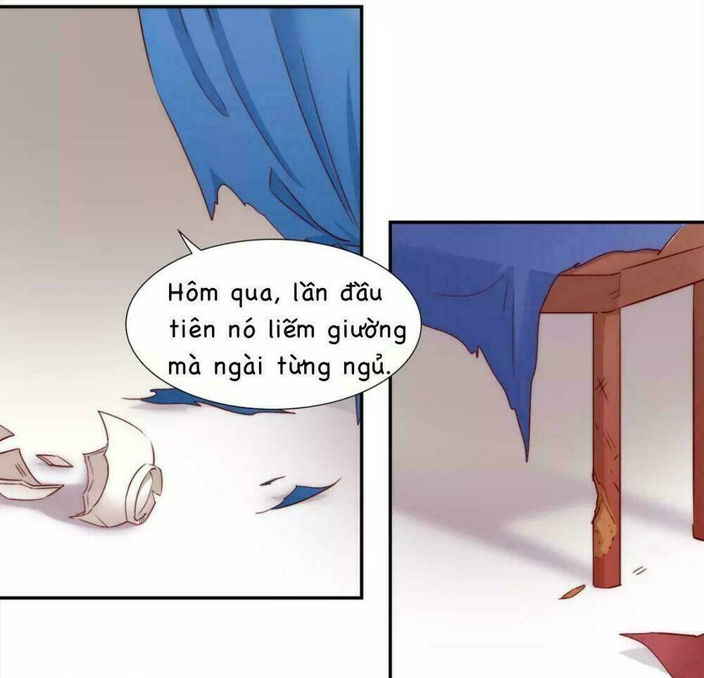 vương diệp, đuôi của ngươi đã biến mất chapter 8 25