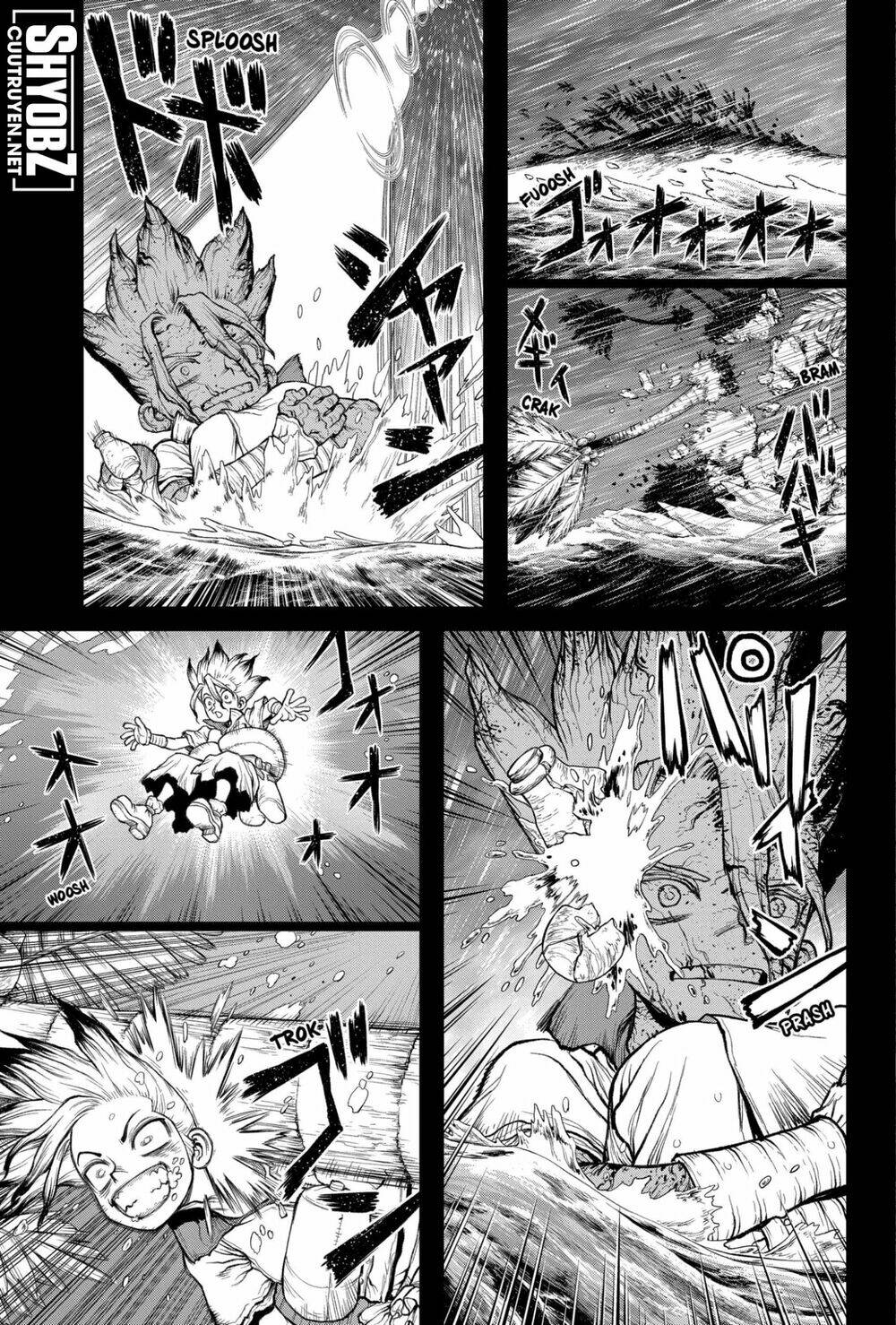 dr.stone - hồi sinh thế giới chapter 232.6 19