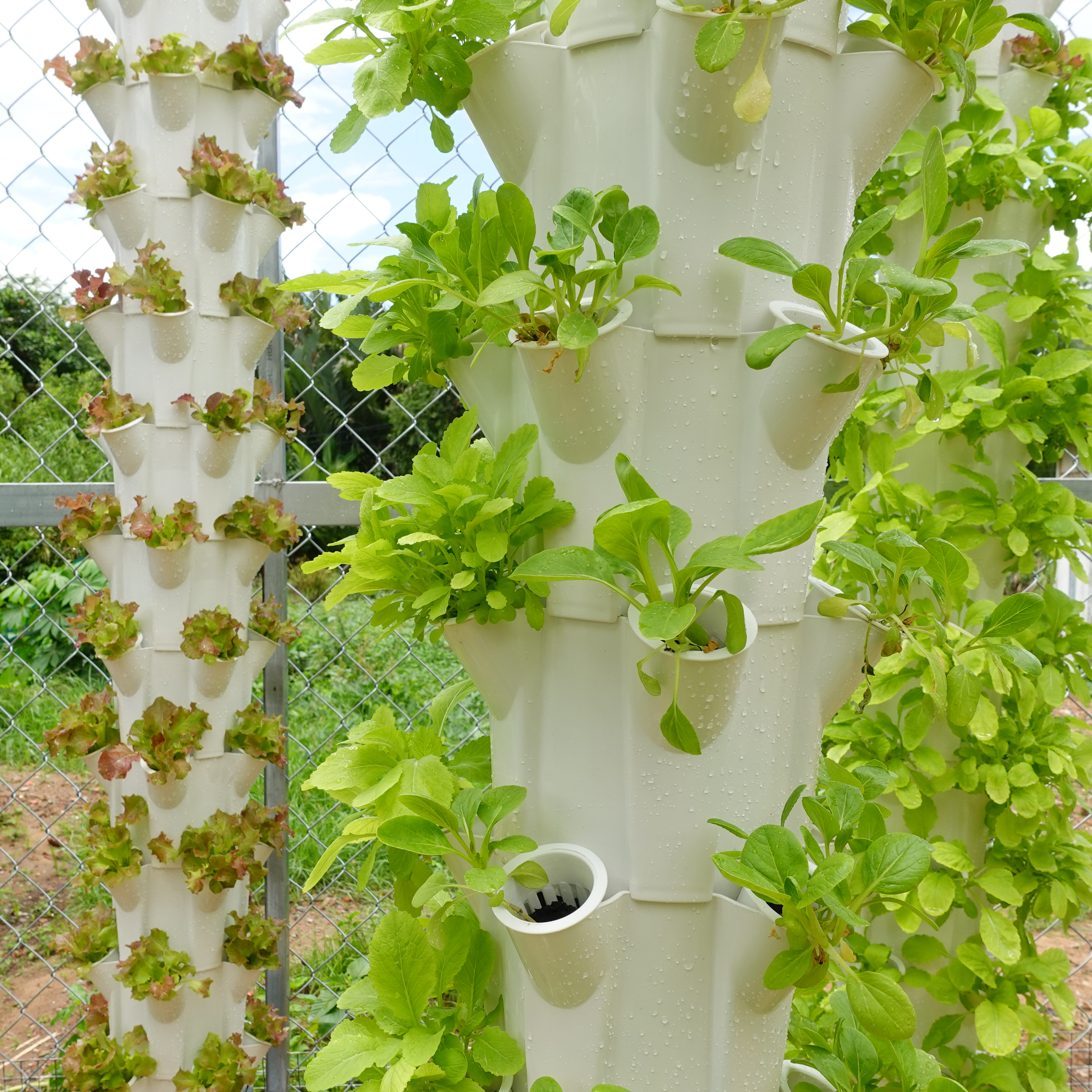Trụ trồng rau Bio 50 hốc trồng rau, giữ nước và chống cúp điện phiên bản mới