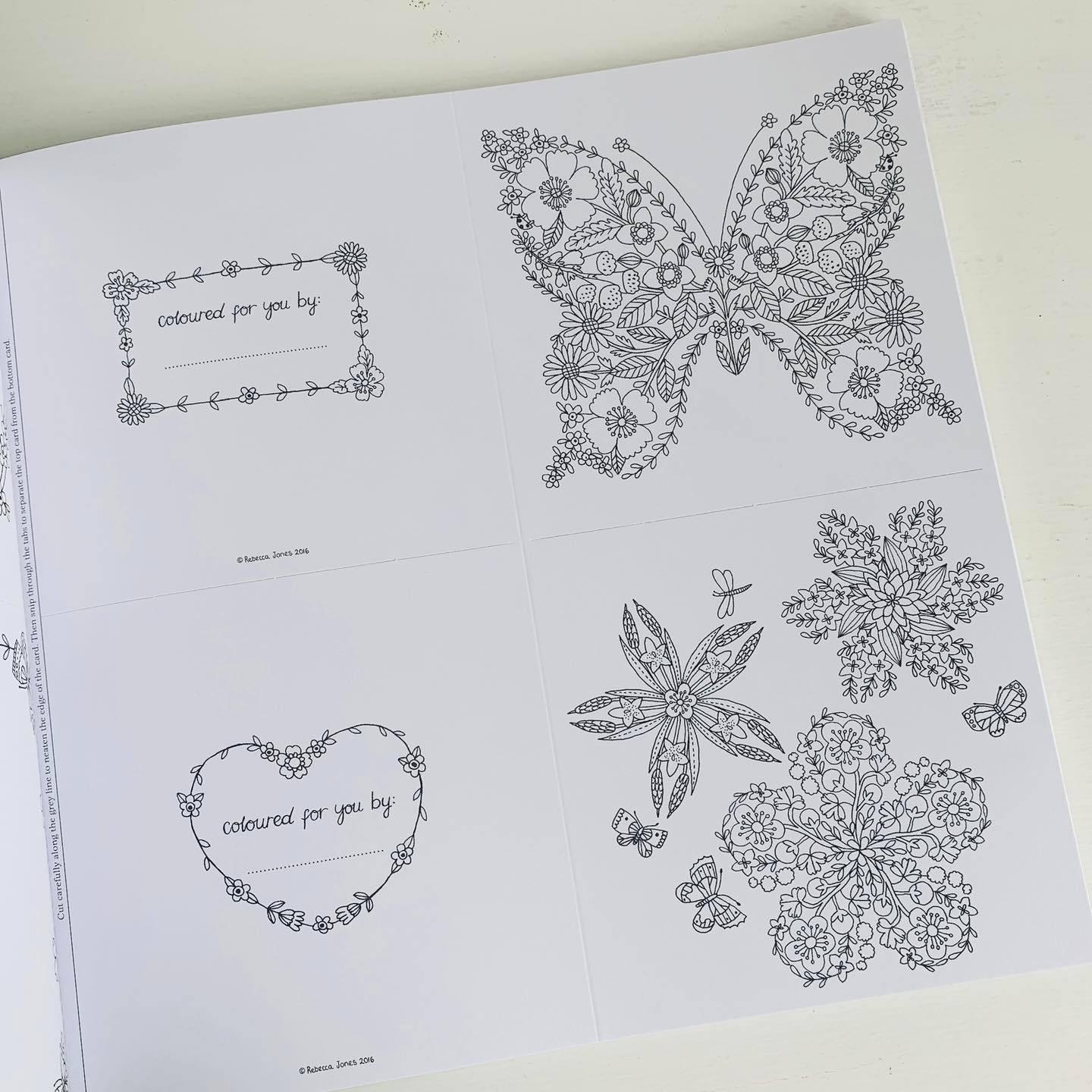 National Trust: The Colouring Book of Cards and Envelopes - Flowers and Butterflies