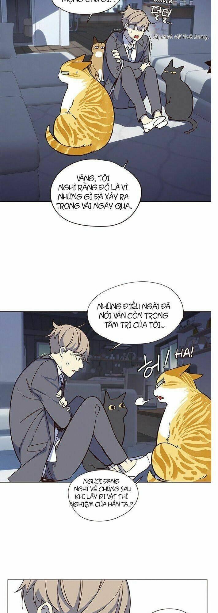 biến thân thành mèo chapter 8 28