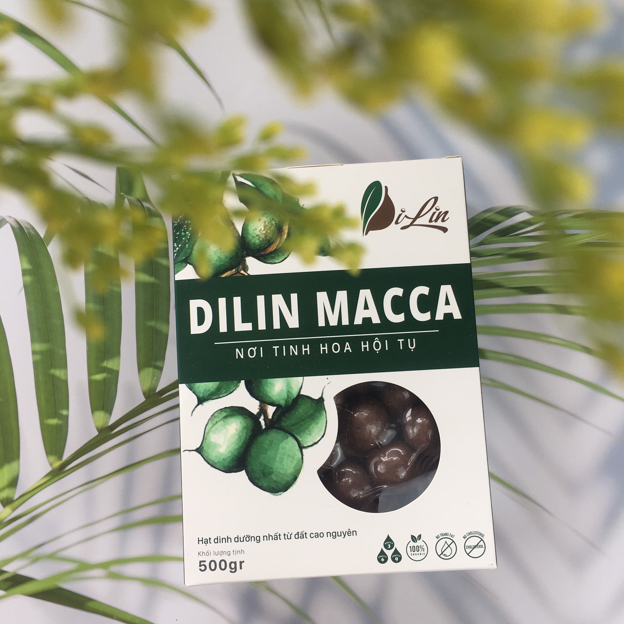 Hạt Macca Lâm Đồng Hộp Giấy Sang Trọng 500G