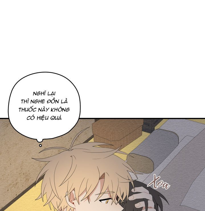 đường hoa liên kiều rơi chapter 24 10