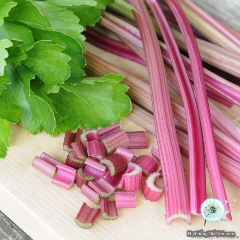 Hạt Giống Rau Cần Tây Đỏ -