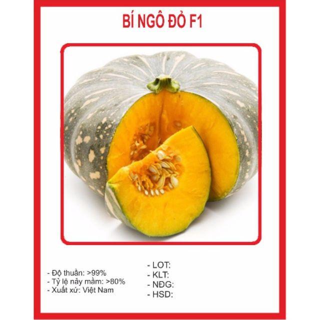 Hạt giống bí ngô
