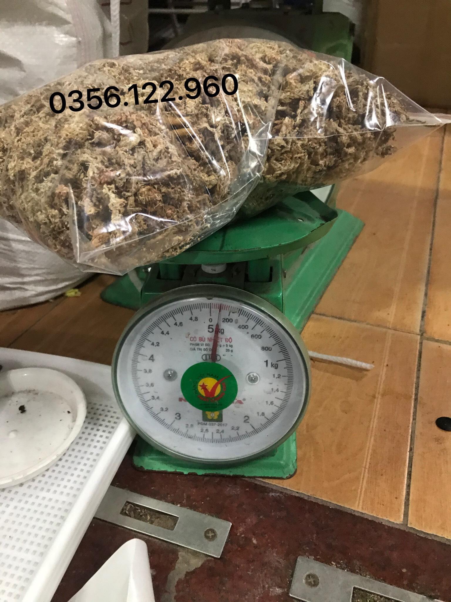 Gói 500g Rêu con sâu Chile - Giá thể giữ ẩm tuyệt vời cho phong lan