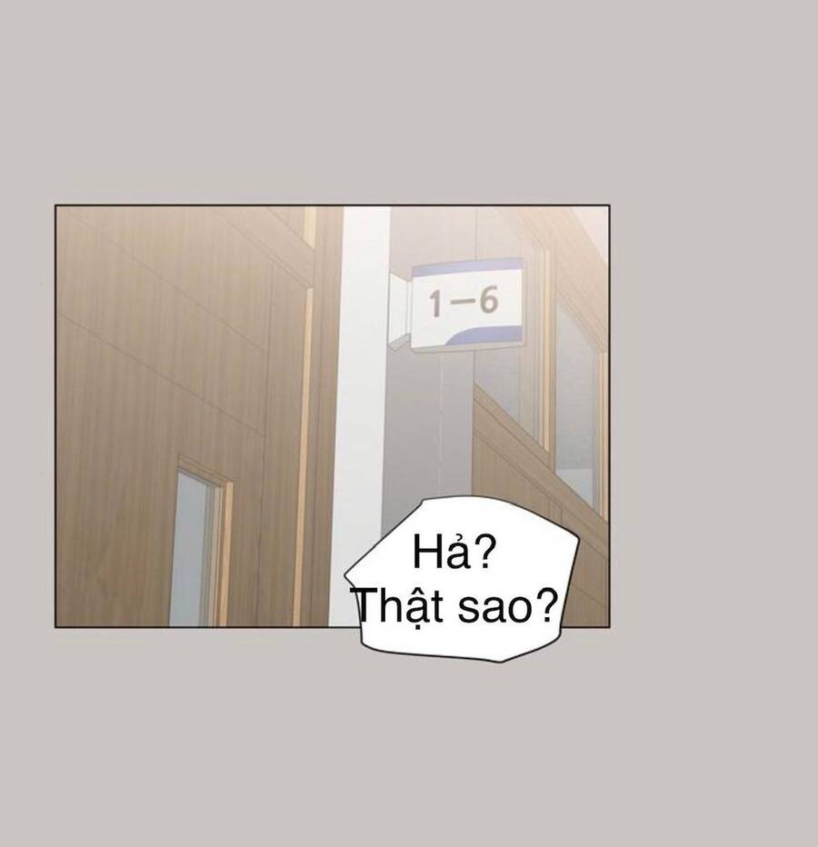 idol và sếp, em yêu ai? chapter 64 15