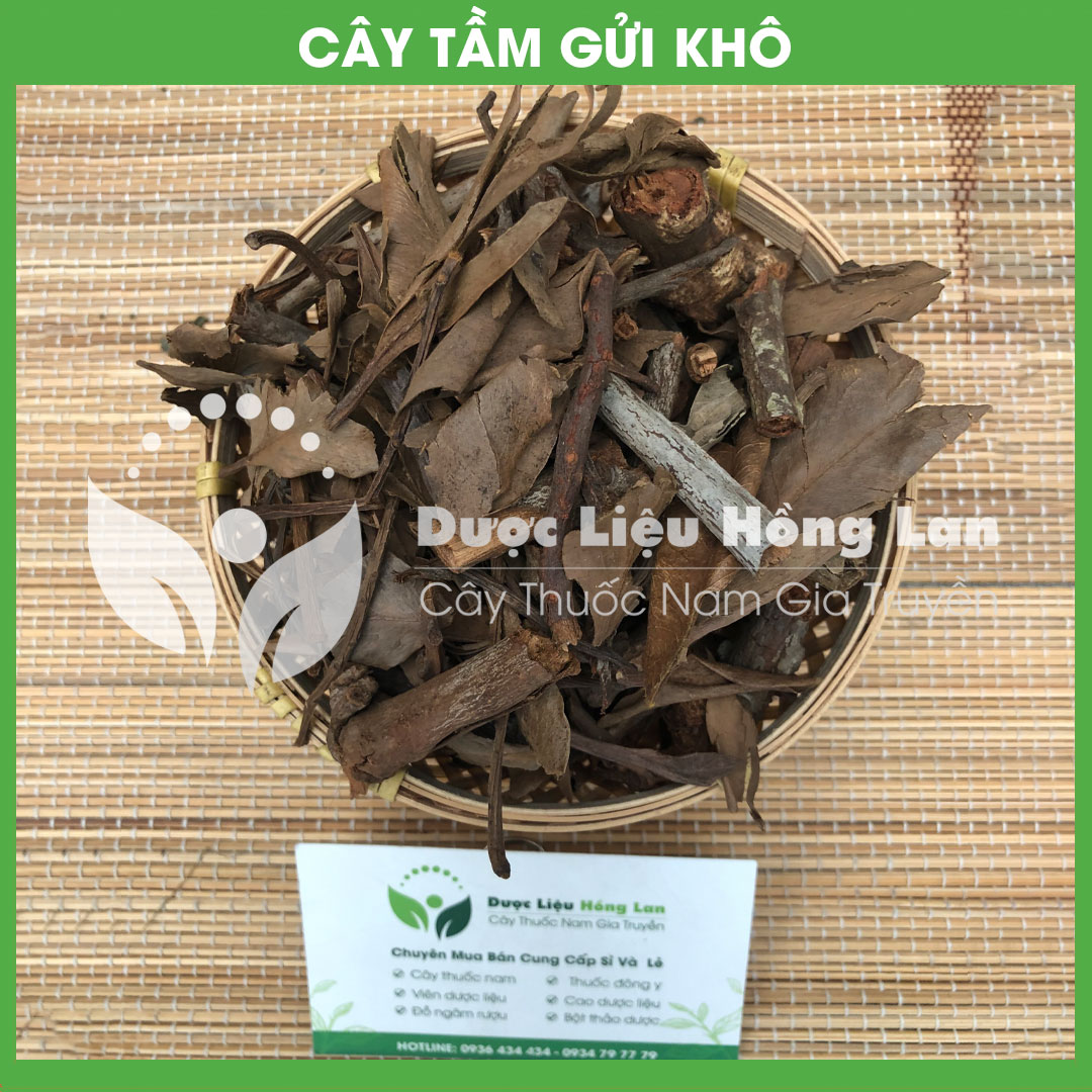Cây Tầm Gửi Khô sạch đóng gói 500gram