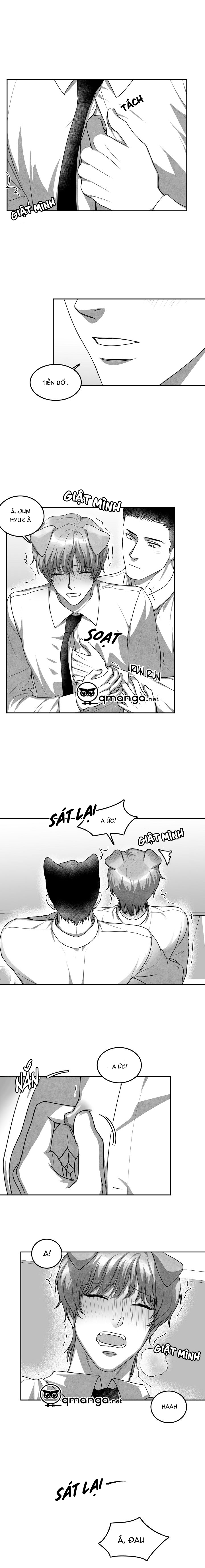 khi cún biết yêu chapter 13 2