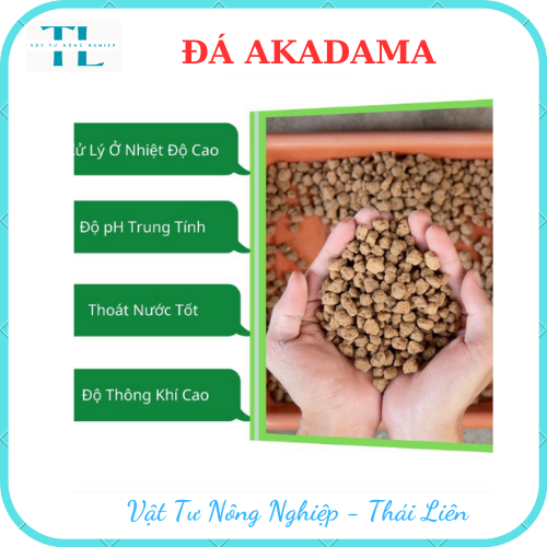 Đất nung Akadama Nhật Bản Size SS bịch 1kg (nền thủy sinh , bonsai , trồng xương rồng sen đá , cây cảnh )