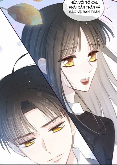 nỗi buồn của hoa cẩm tú cầu chapter 28 25