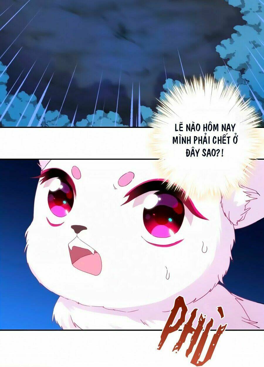 vương phi, vương gia nhà ngươi không ngốc nữa rồi chapter 1 8