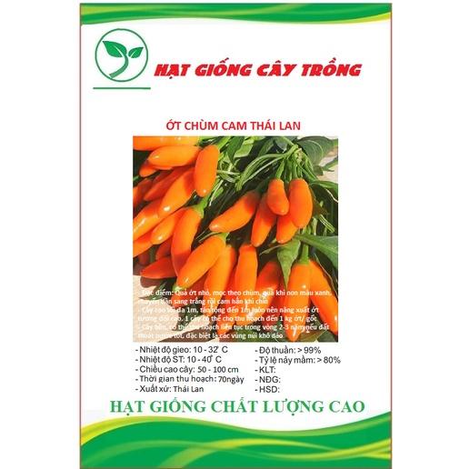 Hạt giống ớt chỉ thiên chùm cam siêu cay CT318 - Gói 30 hạt