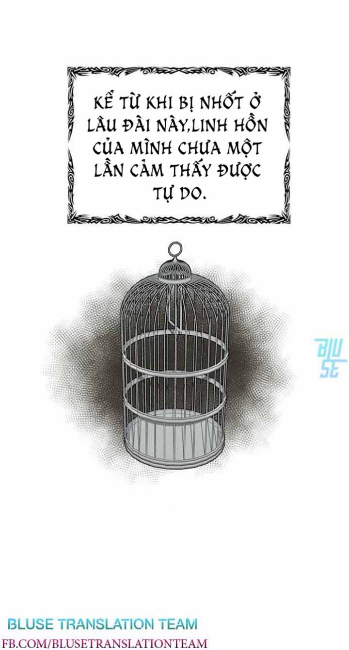 kế hoạch nuôi dưỡng hoàng tử chapter 1 84