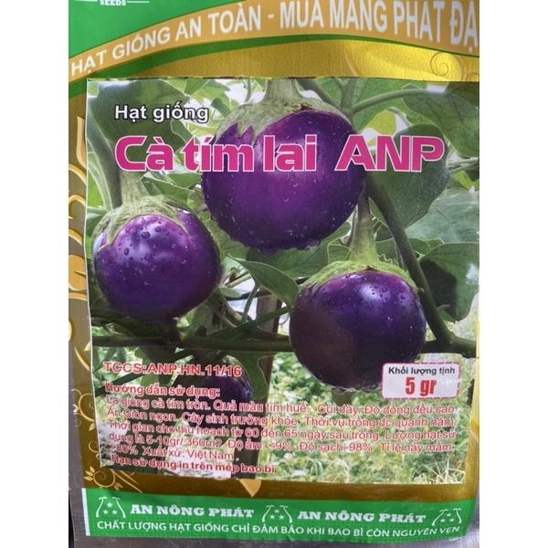 Hạt giống cà tím lai- gói 5gr