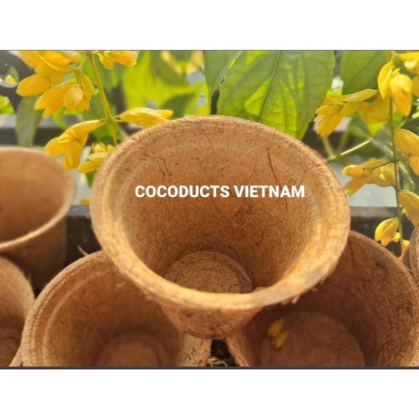 Chậu xơ dừa ép nhiệt Coir Pot