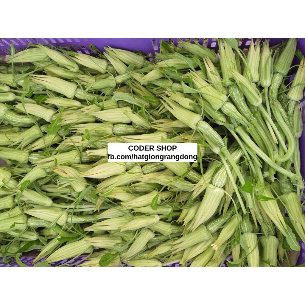 Hạt Giống Bí Nụ Rạng Đông 0.5Gram