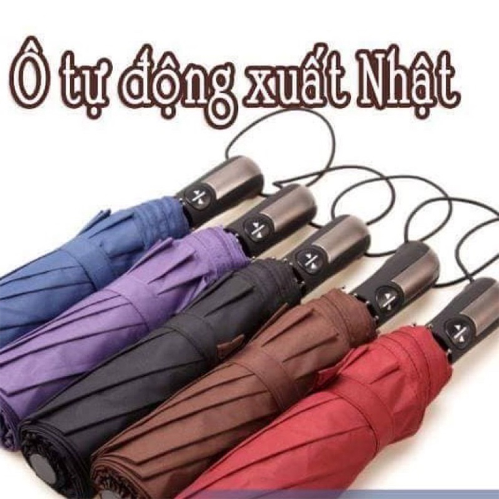Ô TỰ ĐỘNG ĐÓNG MỞ 2 CHIỀU XUẤT NHẬT CÁN DÀI, 10 NAN