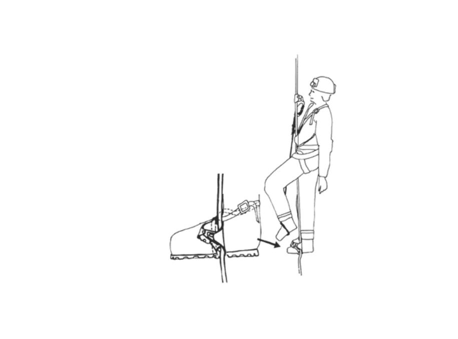 Safety Rock Climbing Caving Ascenders Equipment