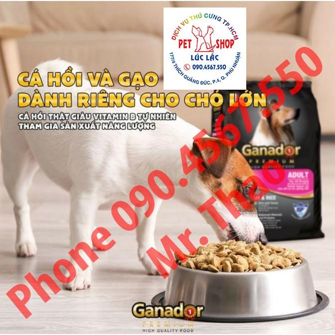 20KG Thức ăn cho chó Ganador - FIB's - adult - puppy - Cừu - Trứng Sữa - Cá Hồi - Sữa DHA Đủ Loại 20KG