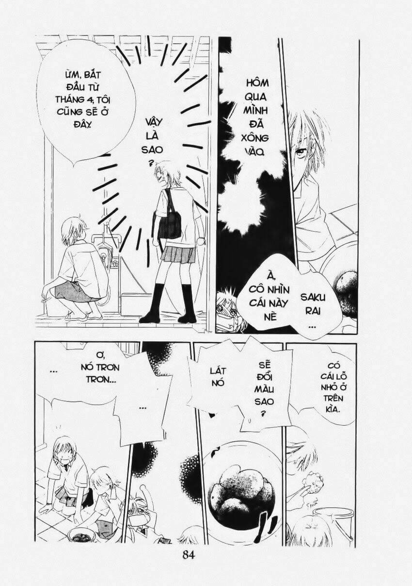 biển rộng bao la chapter 5 12