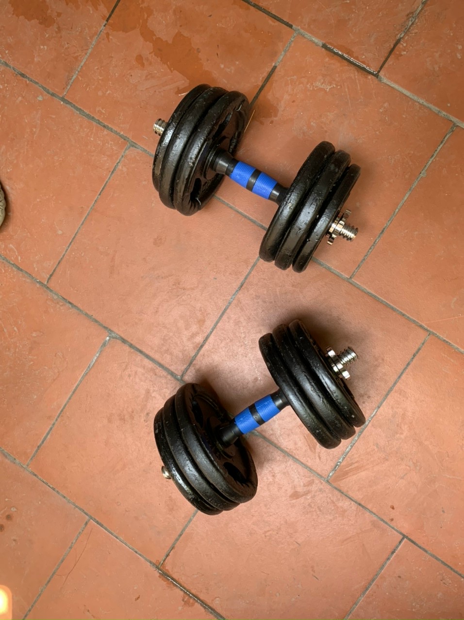 Combo 2 đòn tạ bọc cao su 35cm và 10kg tạ