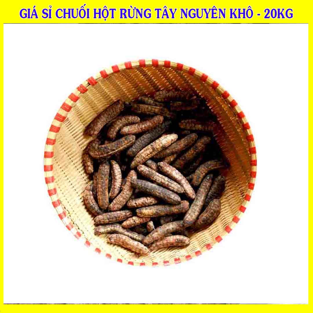 Cung cấp sỉ Chuối Hột Rừng Tây Nguyên khô giá bán 20kg