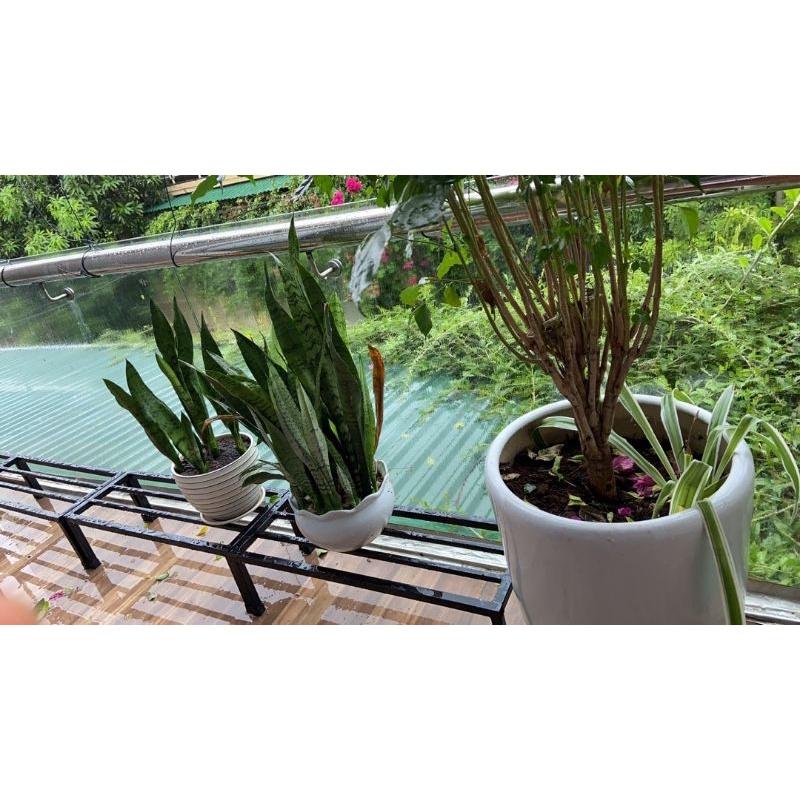 Kệ kê đồ,chậu hoa, cây cảnh, chậu rau Ban công Sân thượng, Rộng:25cm;Dài:70cm. hộp thép 2x2cm
