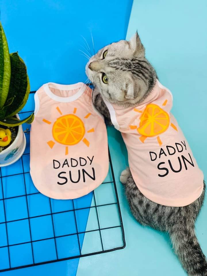 ÁO DADDY SUN - ÁO CHO CHÓ MÈO - ÁO CHO THÚ CƯNG