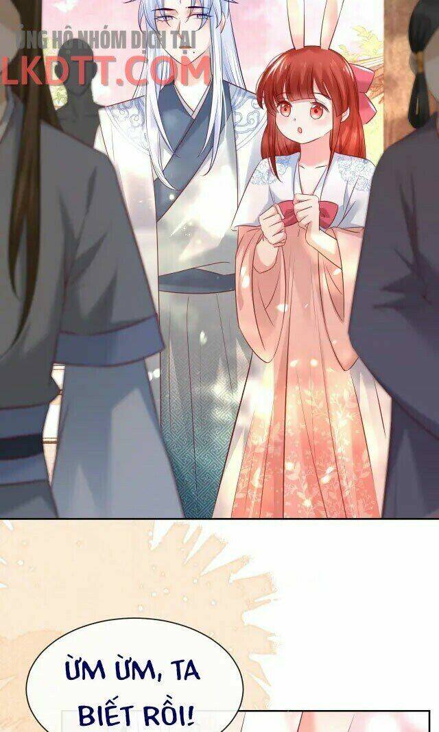 hắc hóa nam chính trực tuyến nuôi thỏ chapter 25 46