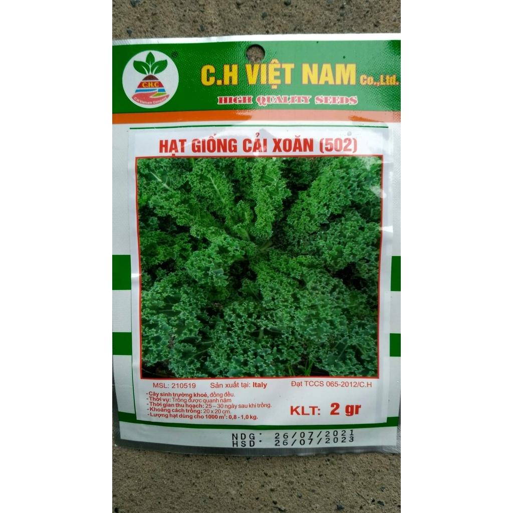 Hạt giống cải lá xoăn xanh (cải kale)