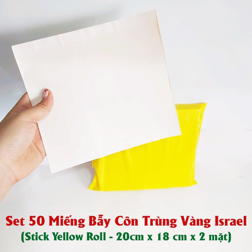 25 Miếng Bẫy Ruồi Vàng, Bẫy Côn Trùng gây hại rau sạch và cây ăn trái tại nhà nhập khẩu Israel Sticky Yellow Roll