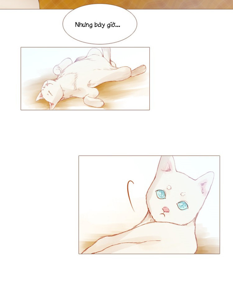 little rain chapter 8 16