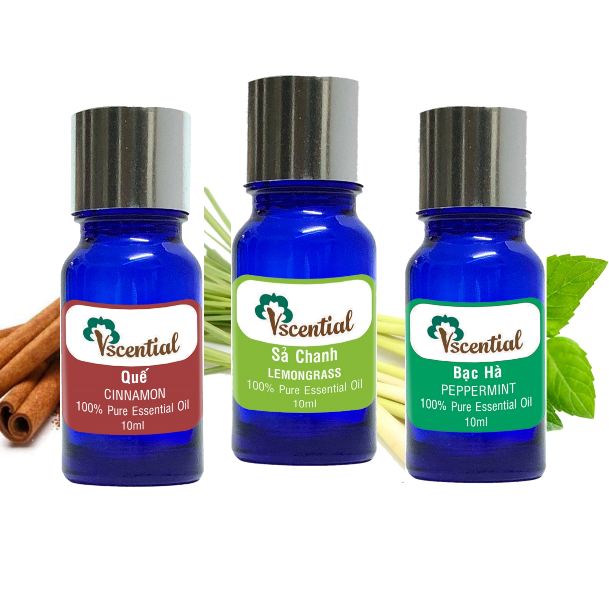 Vscential Combo 3 Chai Tinh Dầu Bạc Hà, Sả Chanh, Quế 10ml