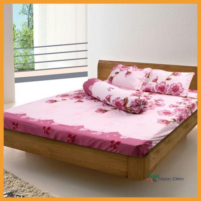 Bộ ga gối poly cotton m6 hoặc m8 mẫu đào hồng