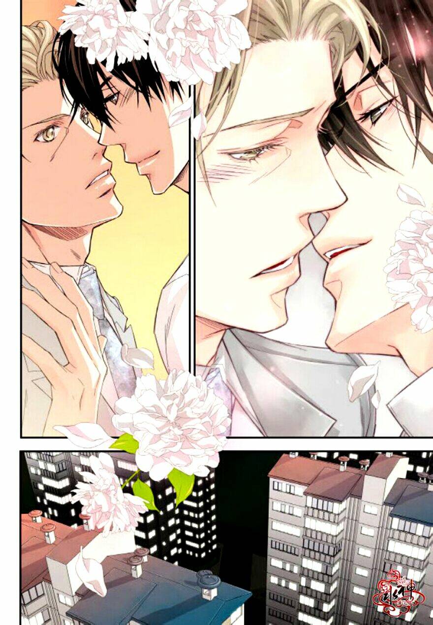 baba muốn xuất giá chapter 18 11