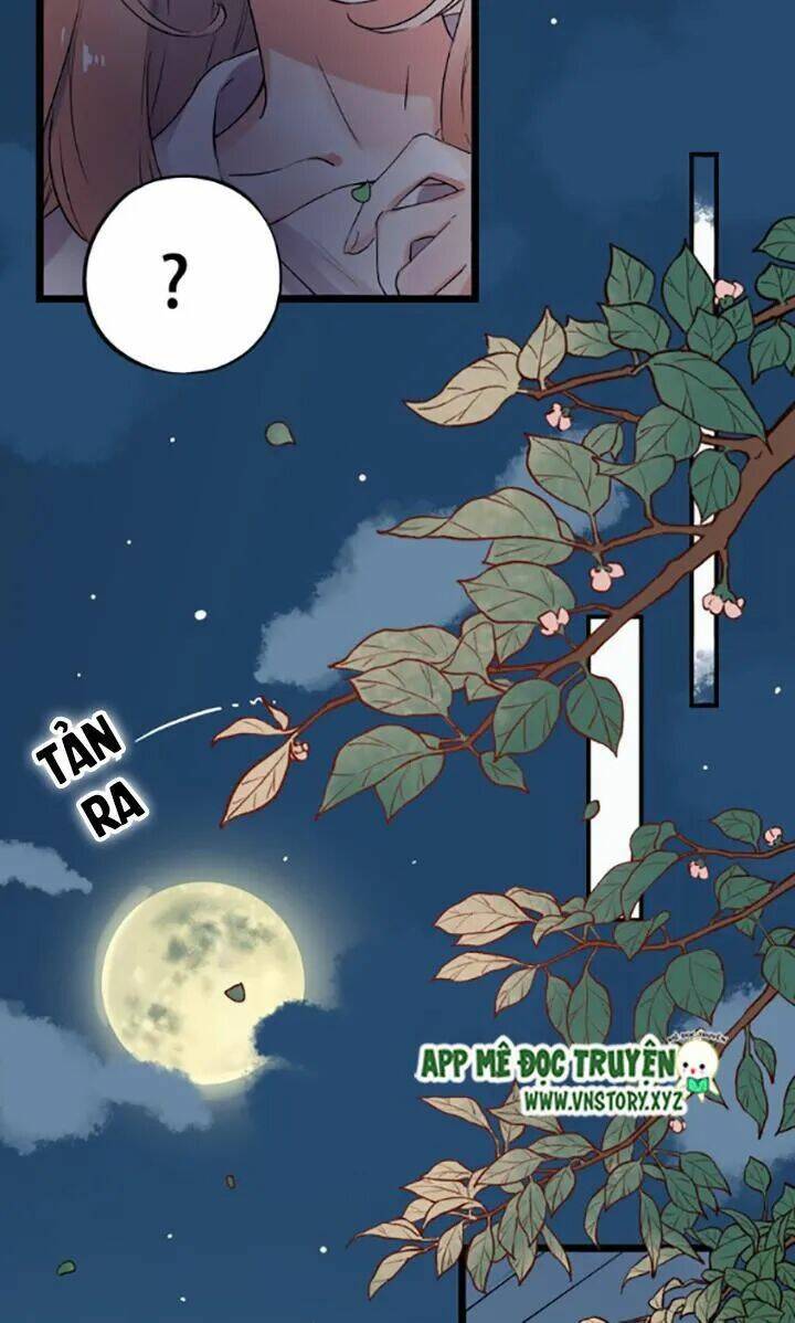 trạch thượng tịch mịch huỳnh hỏa chapter 33 13