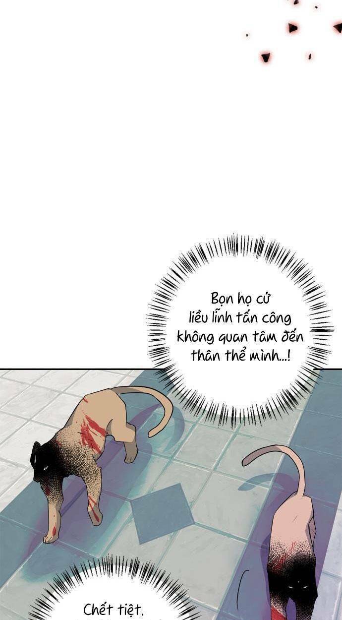 tôi đang nuôi dưỡng một con quái thú chapter 78 100