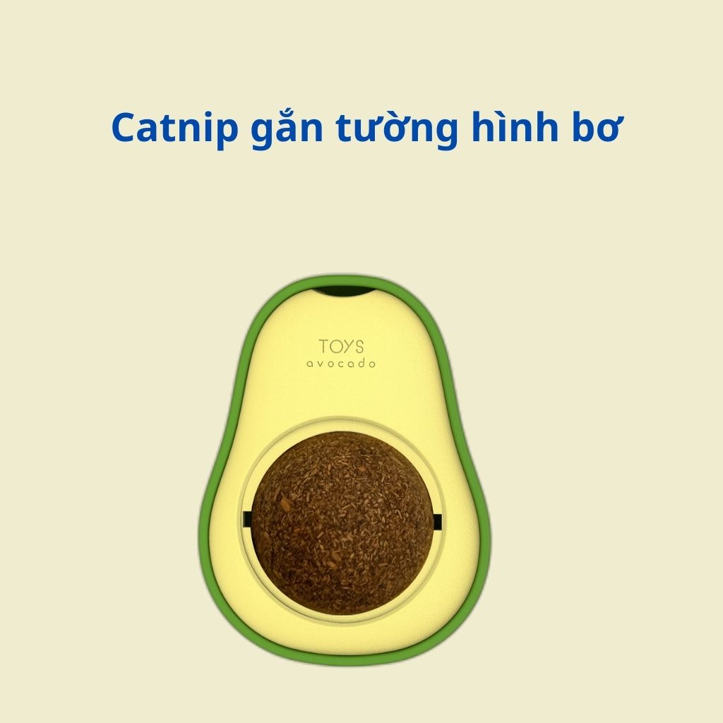 Cỏ mèo bạc hà dán tường Catnip cho mèo giúp mèo giảm stress, đồ chơi cho mèo